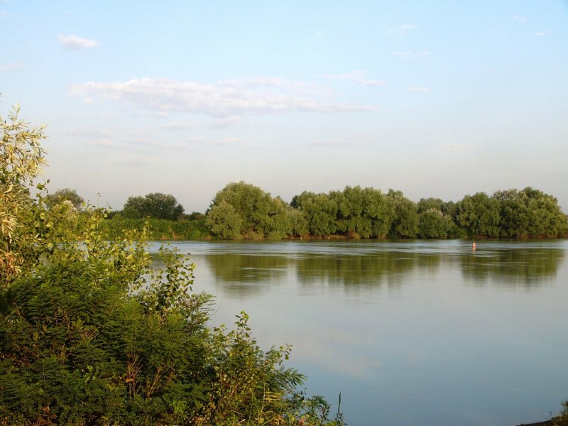 Река Кубань летом