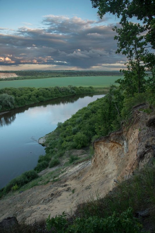 Река Дон в Воронежской области