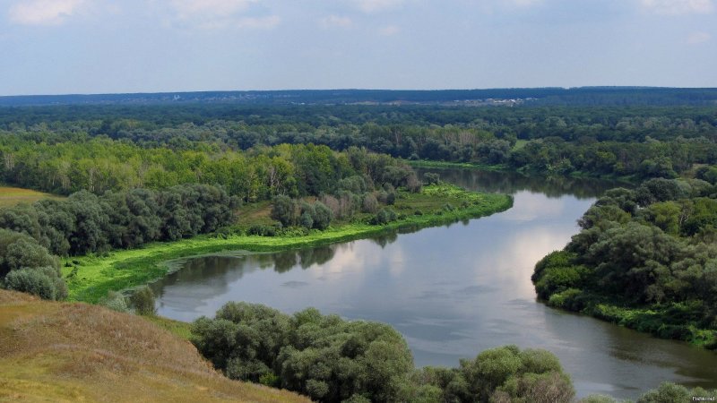 Пойма реки Дон Ростовская область