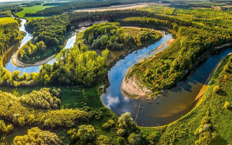 Река Морава Чехия