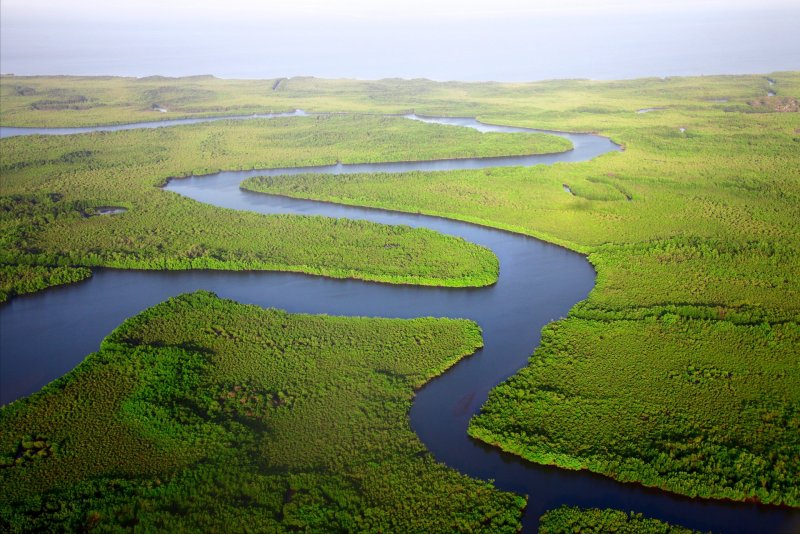 Пойма реки амазонки болото