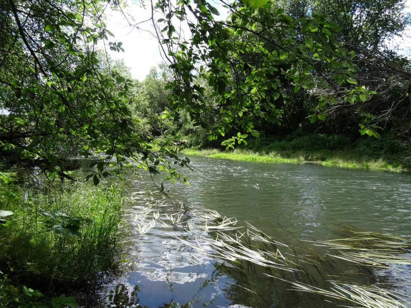 Река Каменка Суздаль рыбалка