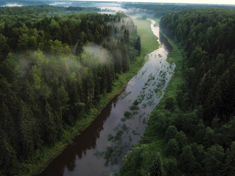 Река Западная Двина Тверская область