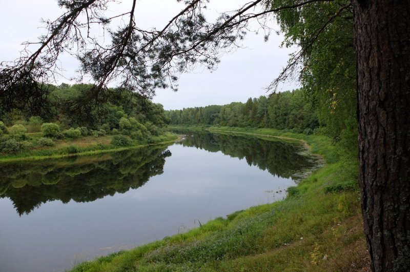Западная Двина река Смоленская область