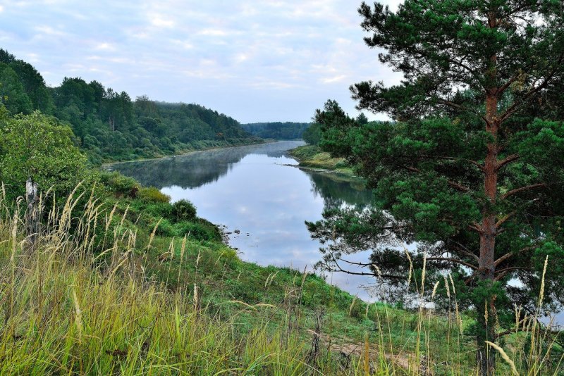 Западная Двина река Смоленске