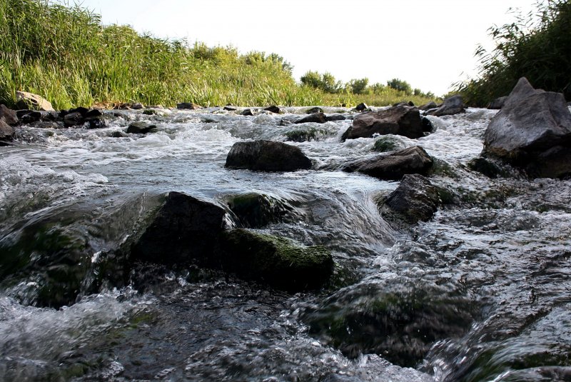 Река левая Камчатка
