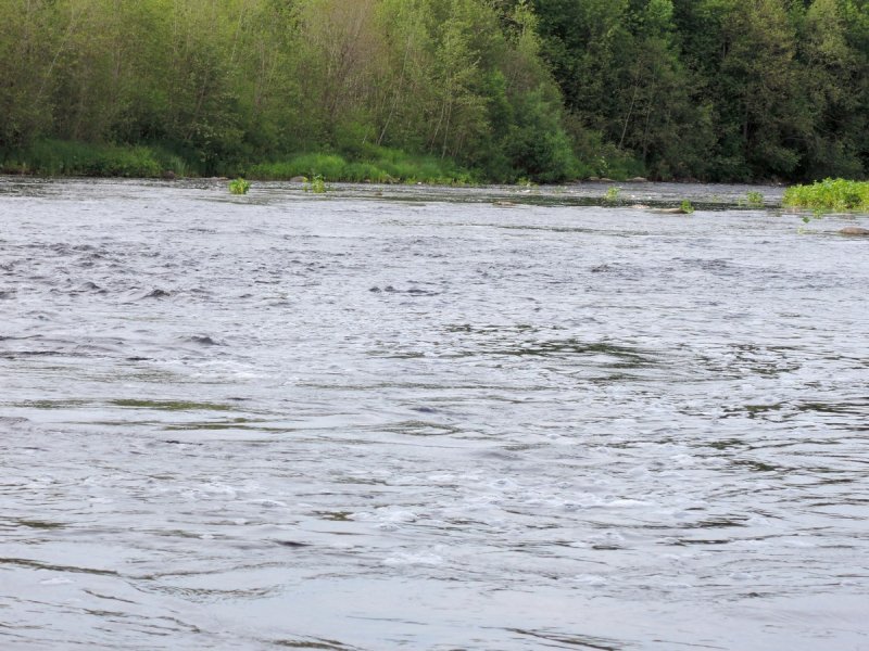 Река кема Вологодская область