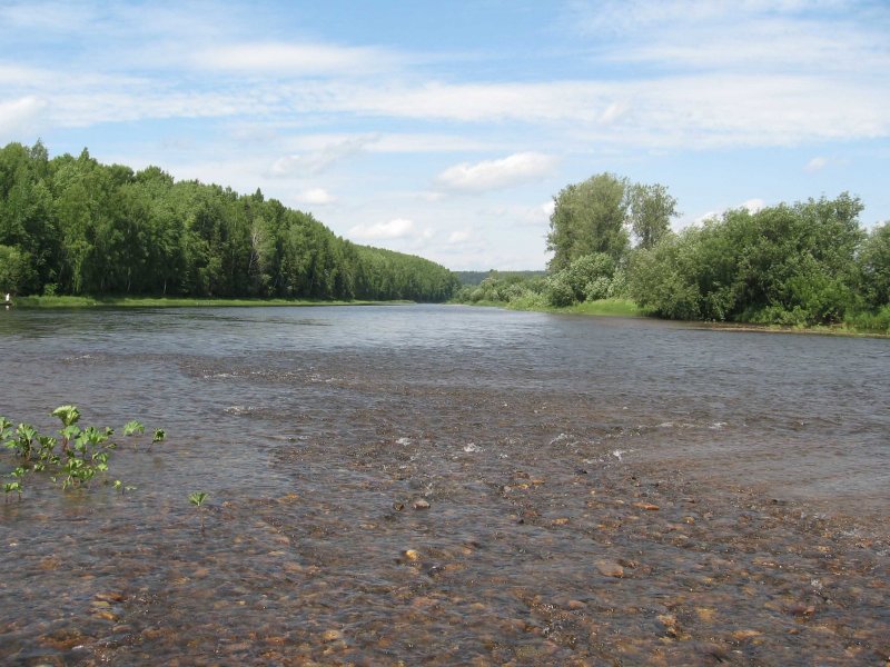 Шуя (река, впадает в Логмозеро)