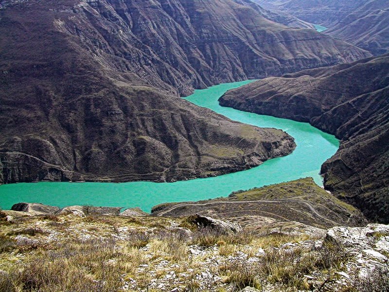 Река Северного Кавказа Терек