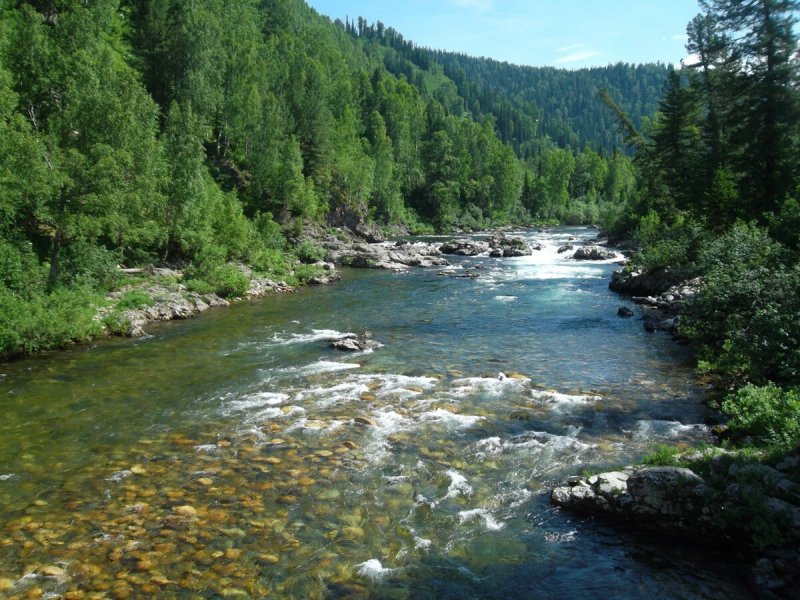 Река Рыбница