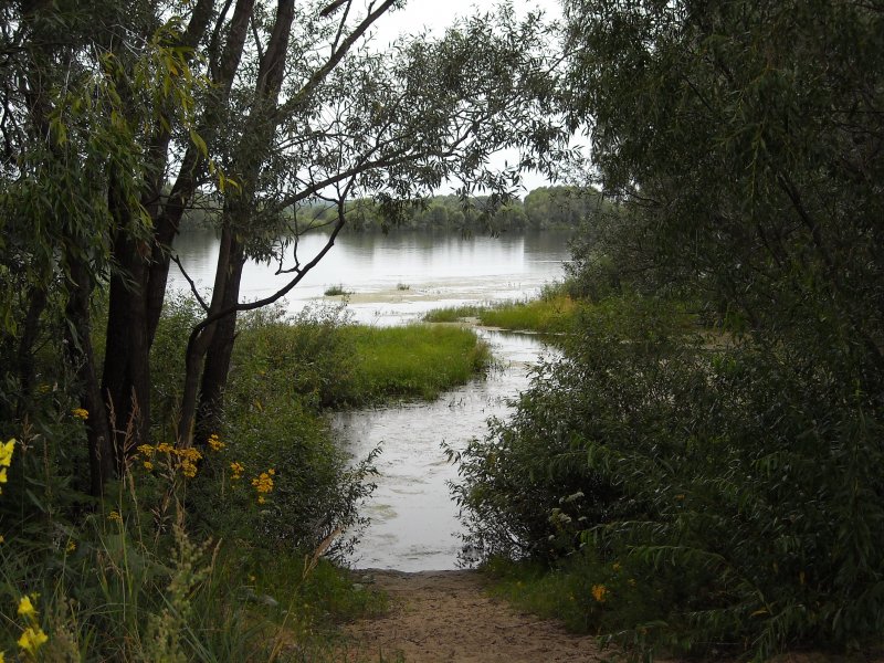 Река Ока Серпухов