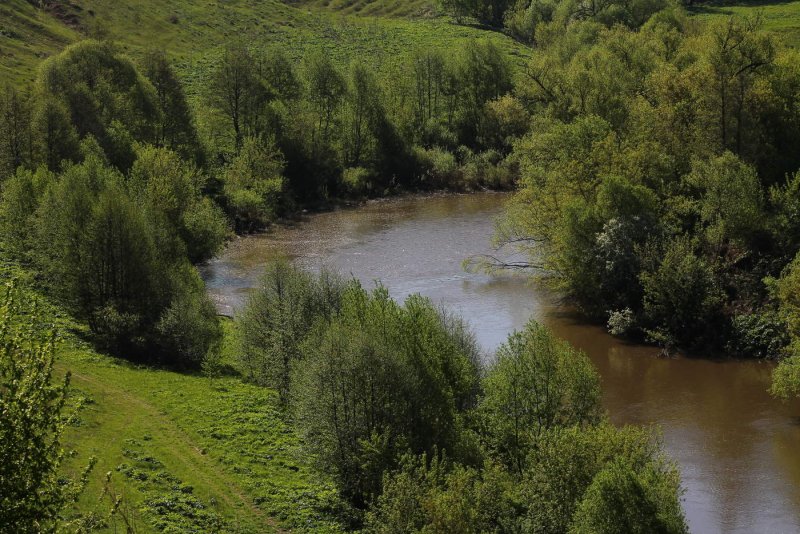 Река суша Подмосковье