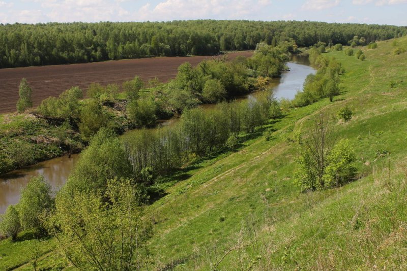 Река осётр Хрусловка