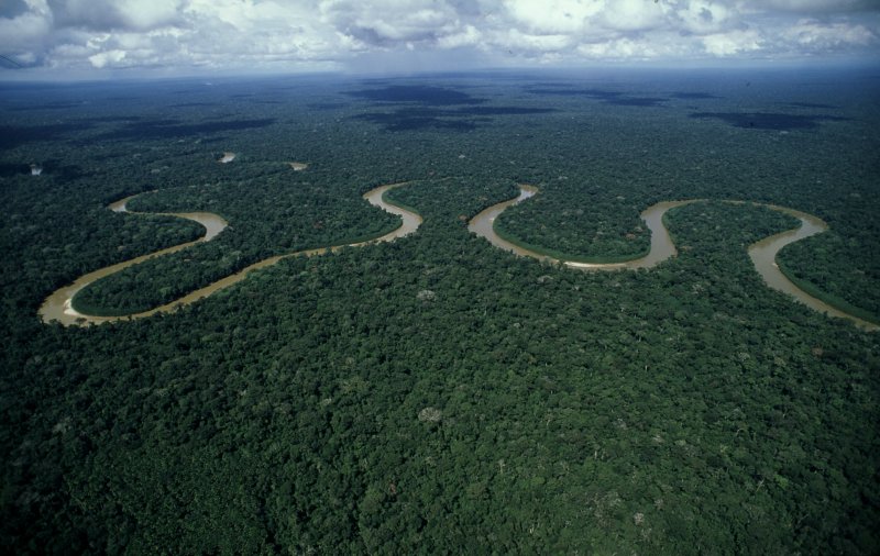 Дельта реки амазонки низменность