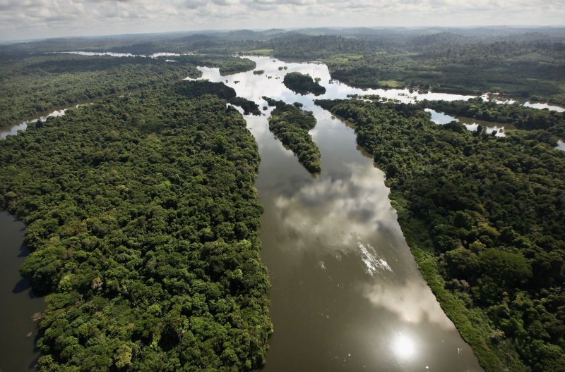 Леса амазонки Бразилия