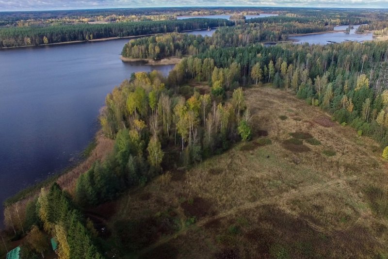 Река Вуокса Ленинградской области