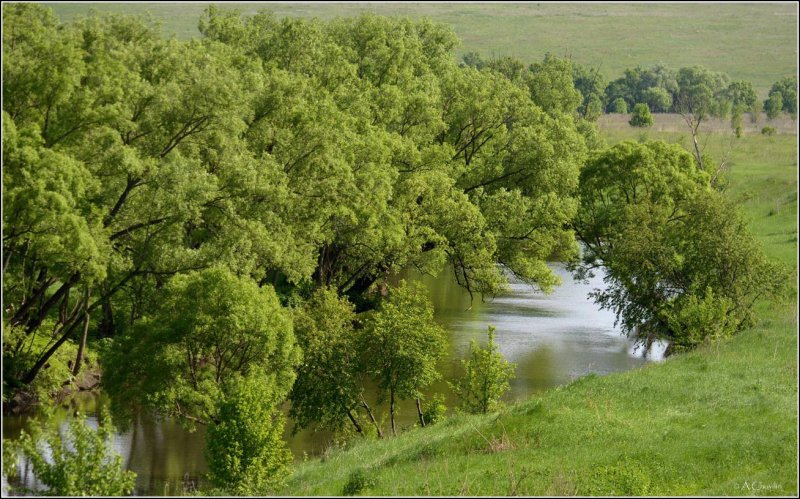 Парк Зарайск у реки фото