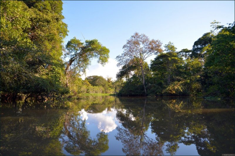 Эстуарий реки Амазонка