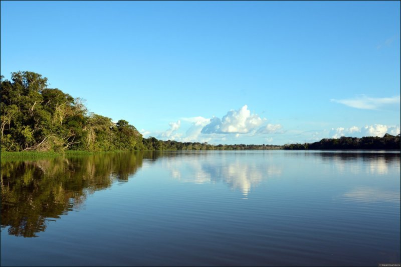 Река Амазонка Исток Южная Америка