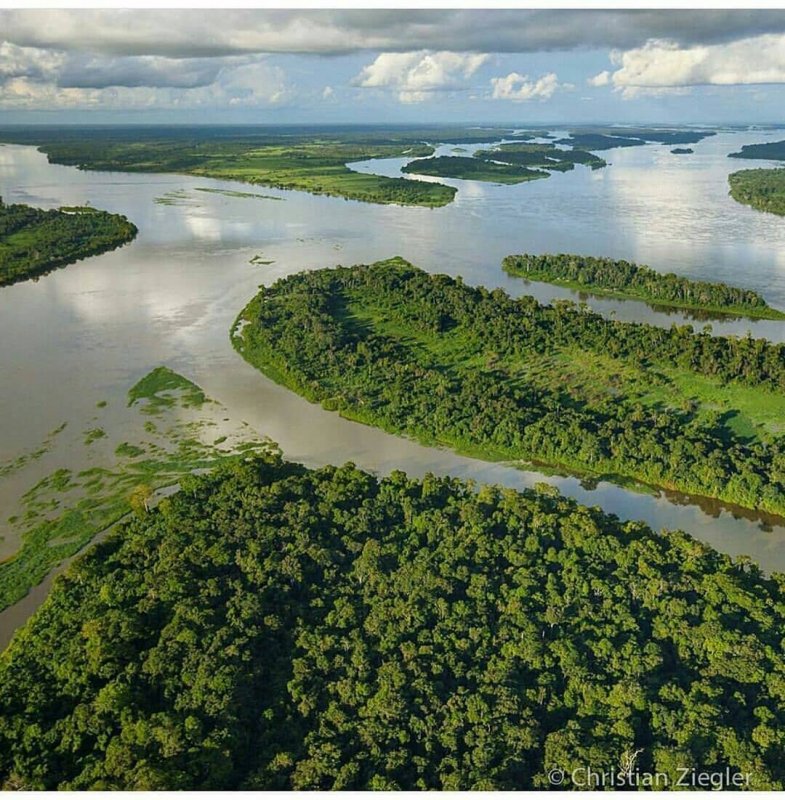 Исток амазонки фото