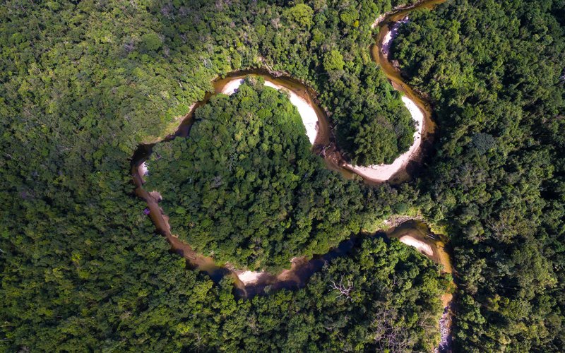 Извилистая река Амазонка