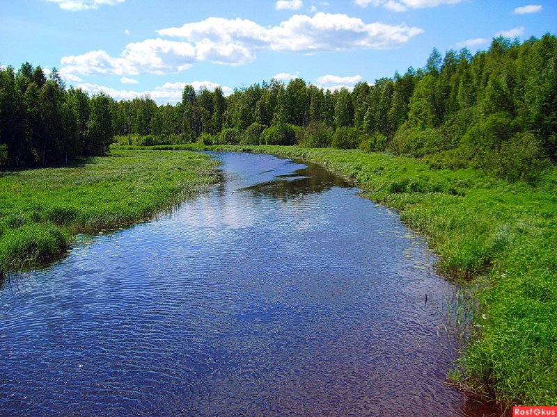 Река красная Приозерский район