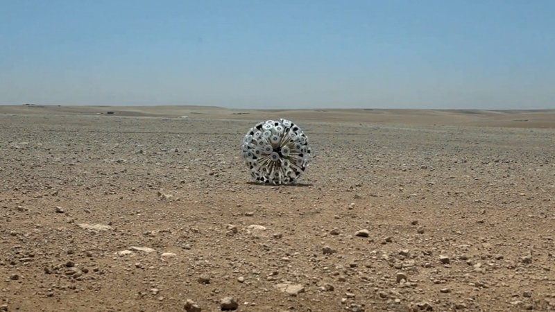 Верблюжья колючка в пустыне