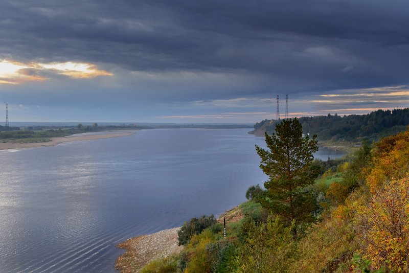 Лес на реке Северная Двина
