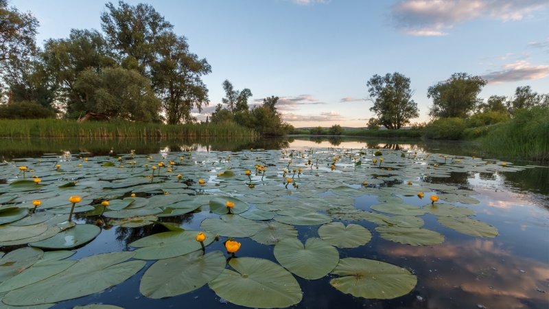 Озеро Цветочное Геленджик