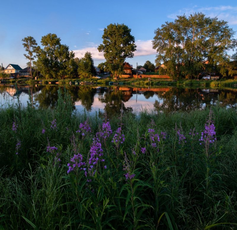 Природа лето Кировской области