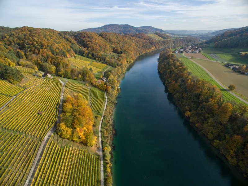 Река Рейн в Германии