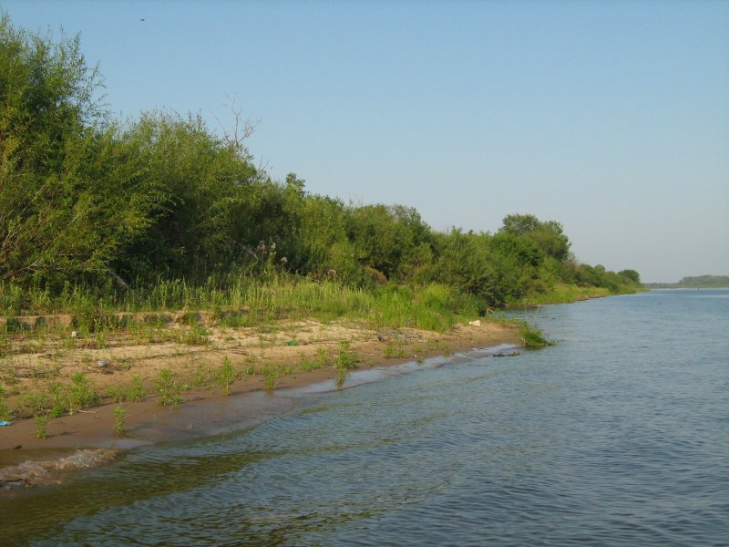 Река Волга Кстово
