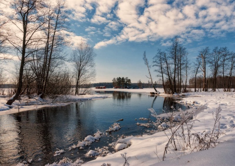Зимний берег реки
