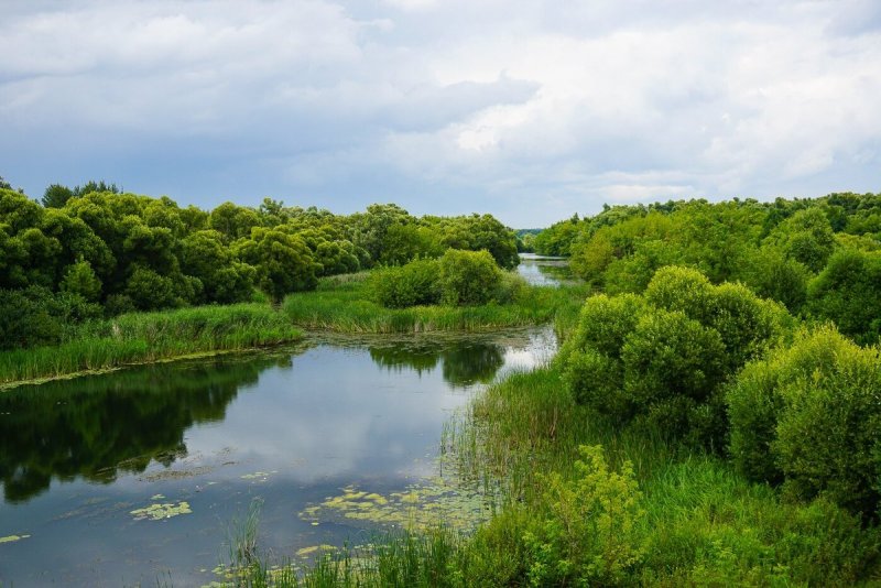 Река Ранова Рязанской области рыбалка