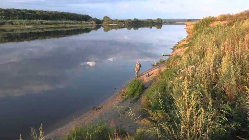 Река Проня Рязанской области 2021