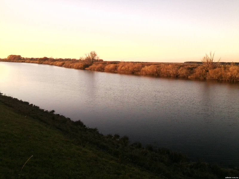Новомичуринск река Проня