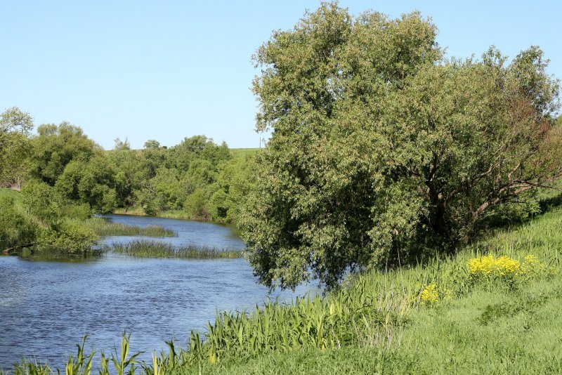 Река Проня Рязанской области