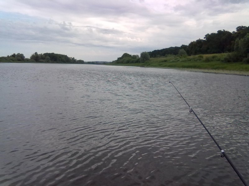 Рыбалка на Проне Рязанская область