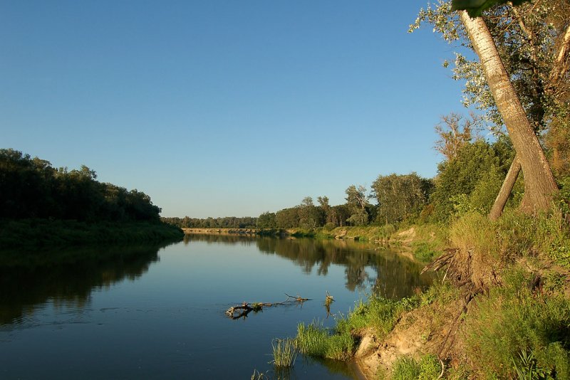 Река хопёр Воронежская область