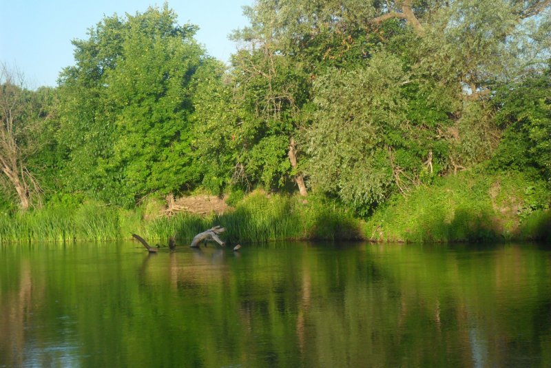 Борисоглебск Воронежской области река Хопер