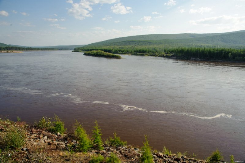 Река Олекма Забайкальский край