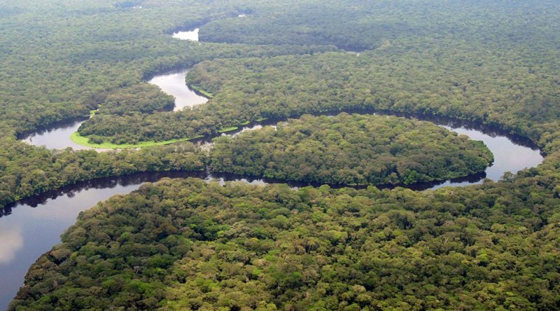 Тропические леса Демократической Республики Конго