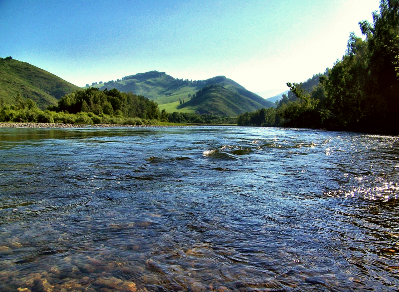 Река Чарыш горный Алтай