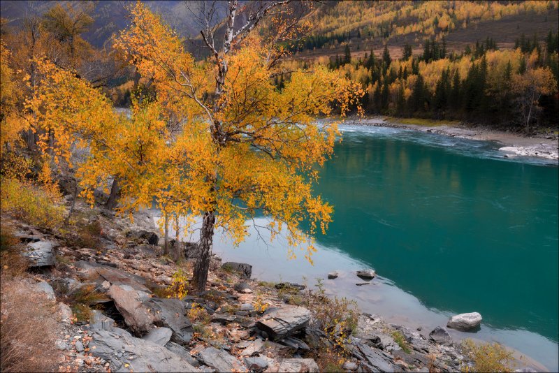 Алтайский край река Катунь осенью