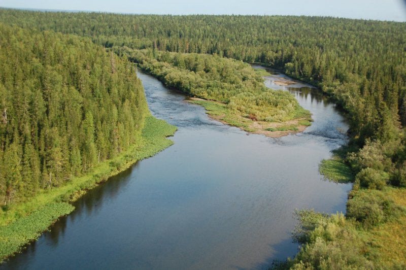 Река Колва Республика Коми