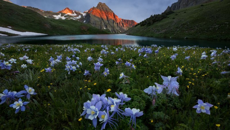 Горы озеро цветы