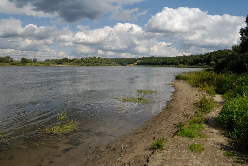 Река Ока Поленово
