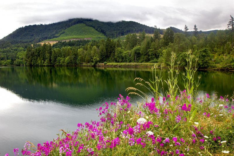 Природа лето озеро