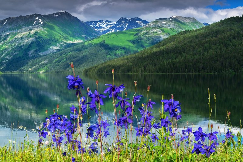 Озеро Тайменье Катунский природный заповедник в горах Алтая