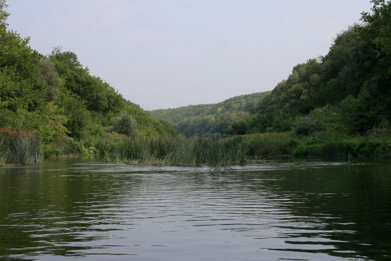 Река хопёр Волгоградская область Алексеевский район